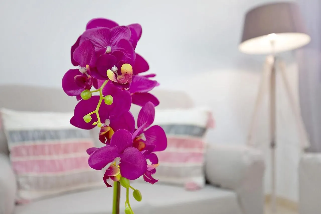 Apartmán Casita Amiga Del Mar Gran Tarajal